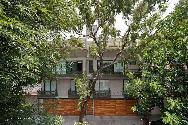 Yautepec 82